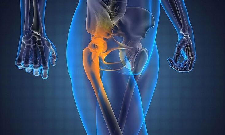 Pain in the hip joint